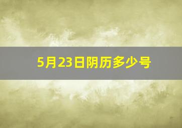 5月23日阴历多少号