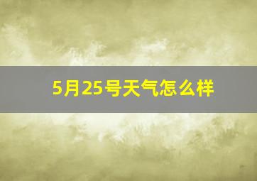 5月25号天气怎么样