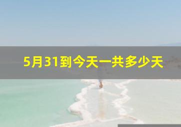 5月31到今天一共多少天