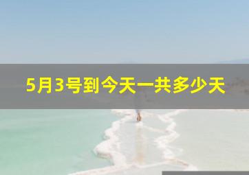 5月3号到今天一共多少天