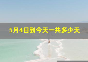 5月4日到今天一共多少天