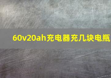 60v20ah充电器充几块电瓶