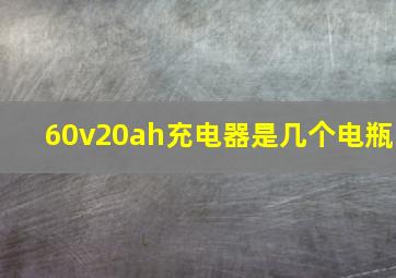 60v20ah充电器是几个电瓶