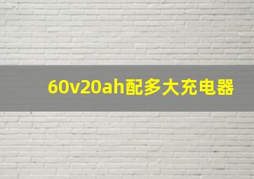 60v20ah配多大充电器