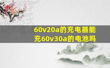 60v20a的充电器能充60v30a的电池吗