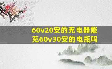 60v20安的充电器能充60v30安的电瓶吗