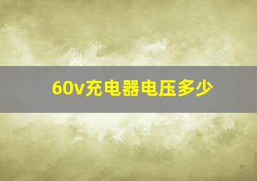 60v充电器电压多少