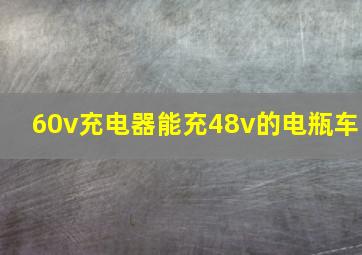 60v充电器能充48v的电瓶车