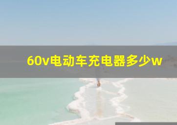 60v电动车充电器多少w