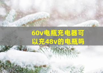 60v电瓶充电器可以充48v的电瓶吗