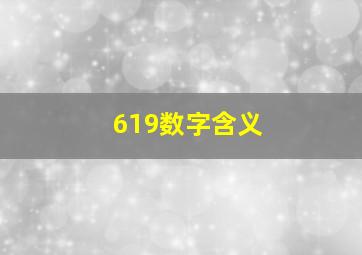 619数字含义