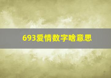 693爱情数字啥意思