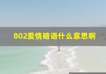 802爱情暗语什么意思啊