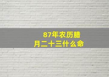 87年农历腊月二十三什么命