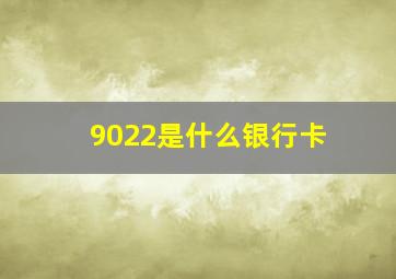 9022是什么银行卡