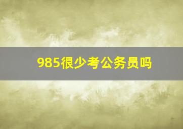 985很少考公务员吗