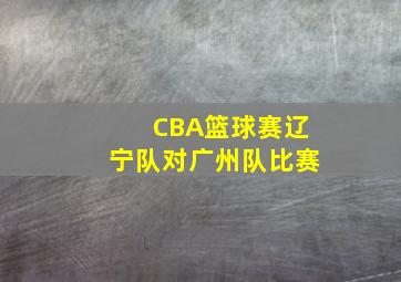 CBA篮球赛辽宁队对广州队比赛