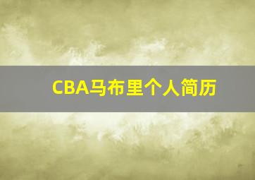 CBA马布里个人简历