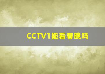 CCTV1能看春晚吗