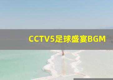 CCTV5足球盛宴BGM