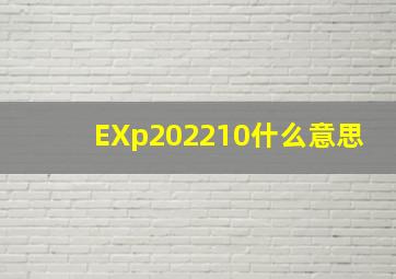 EXp202210什么意思