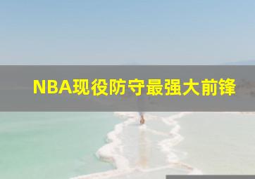 NBA现役防守最强大前锋