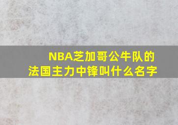 NBA芝加哥公牛队的法国主力中锋叫什么名字