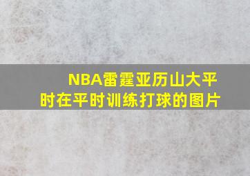 NBA雷霆亚历山大平时在平时训练打球的图片