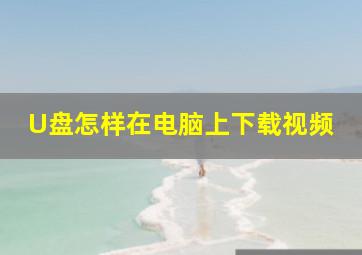 U盘怎样在电脑上下载视频