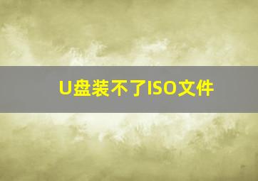 U盘装不了ISO文件