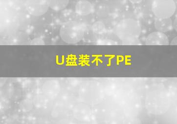 U盘装不了PE