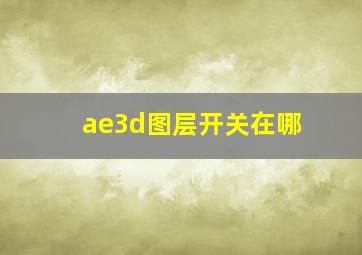 ae3d图层开关在哪