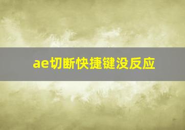 ae切断快捷键没反应