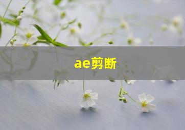 ae剪断