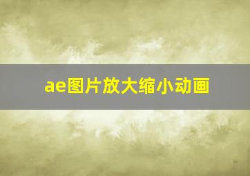 ae图片放大缩小动画