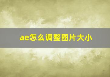 ae怎么调整图片大小