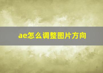 ae怎么调整图片方向