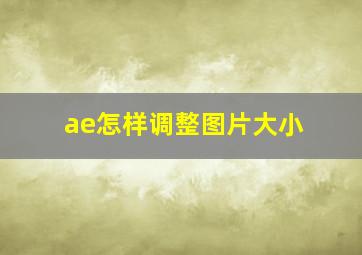 ae怎样调整图片大小