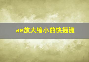 ae放大缩小的快捷键