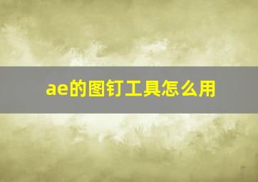 ae的图钉工具怎么用