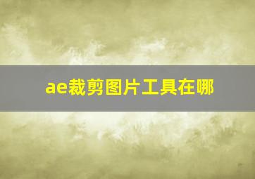 ae裁剪图片工具在哪