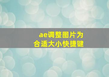 ae调整图片为合适大小快捷键