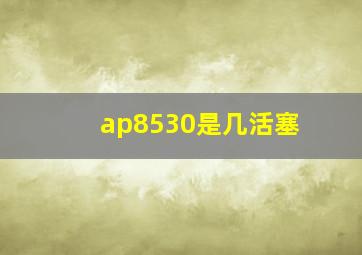 ap8530是几活塞