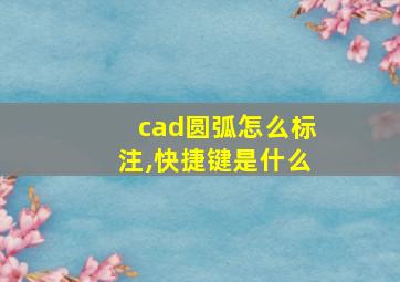 cad圆弧怎么标注,快捷键是什么