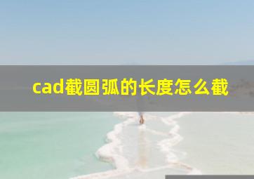 cad截圆弧的长度怎么截