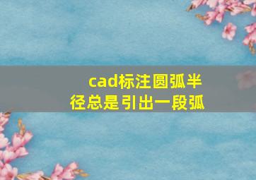 cad标注圆弧半径总是引出一段弧