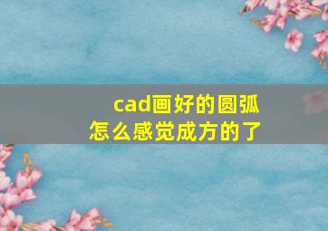 cad画好的圆弧怎么感觉成方的了