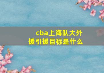 cba上海队大外援引援目标是什么