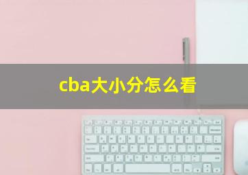 cba大小分怎么看