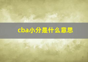 cba小分是什么意思